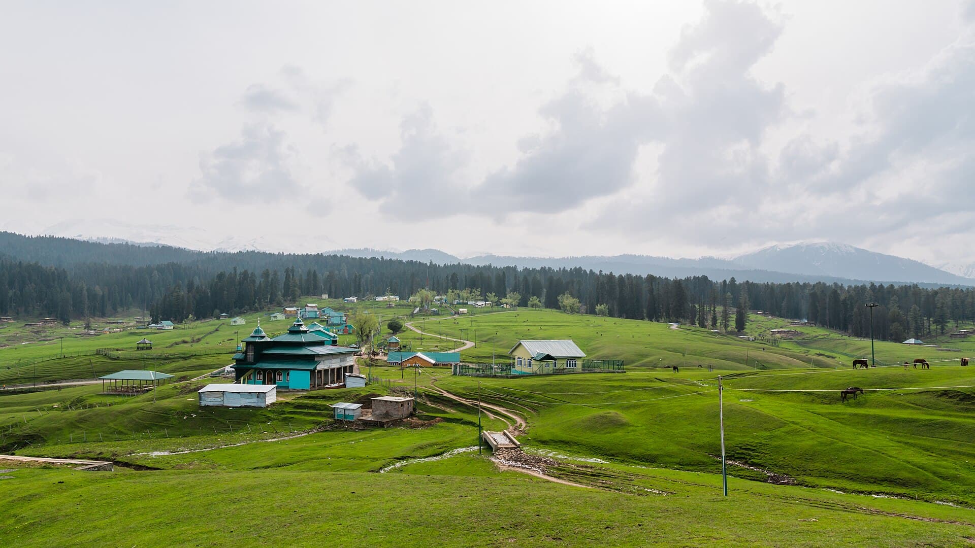 Rolling meadows and forested hills at Yusmarg, Kashmir