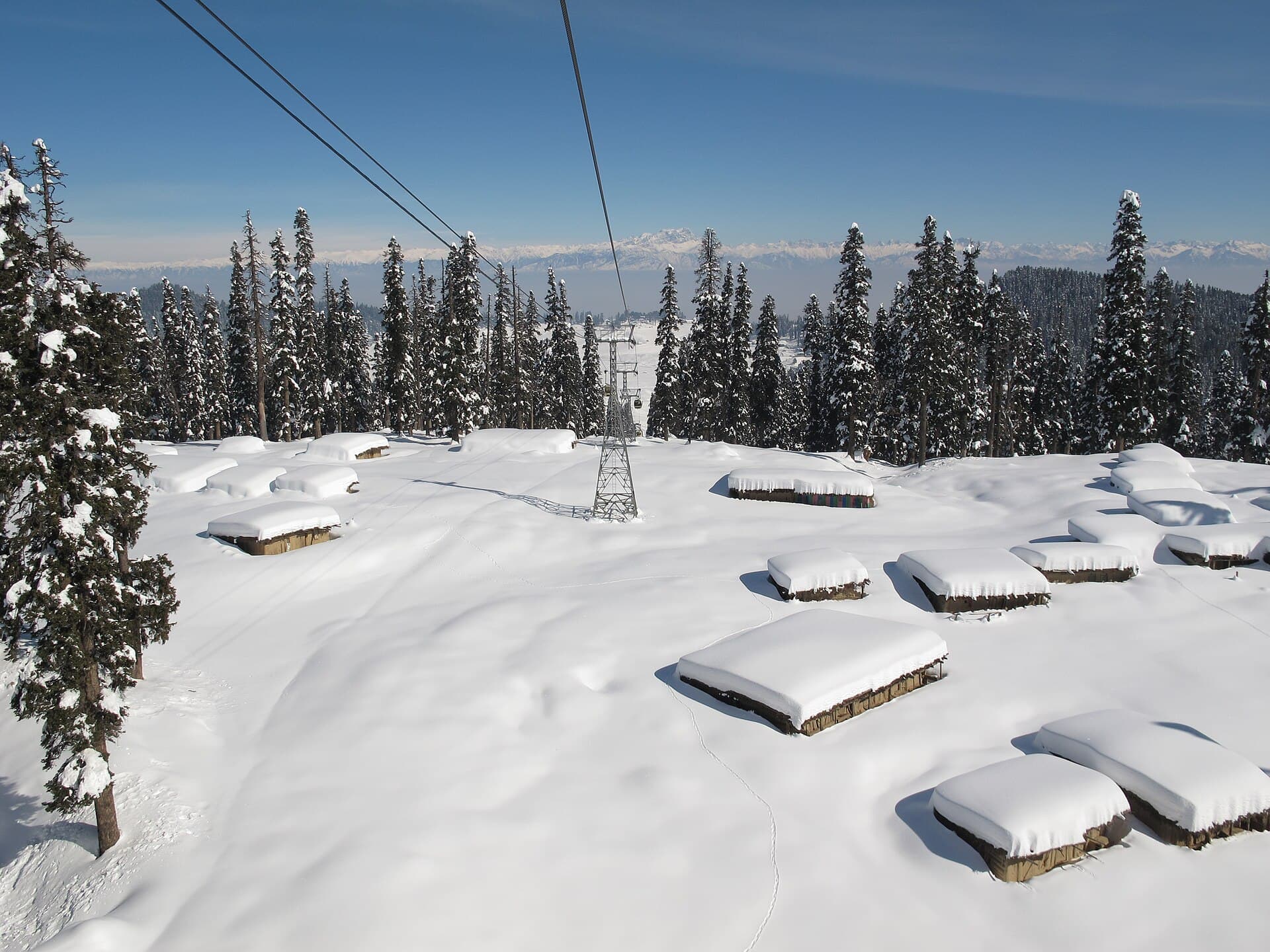 Gulmarg’s pine forests and mountains on a longer Kashmir circuit